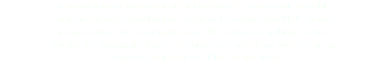 A beautiful desert landscape that is tucked away in a canyon with incredible  sights and provides everything we need to make positive growth! The Mojave  is a place where one can sit down on the desert floor, see nothing, and hear  nothing. Yet through the silence something throbs and gleams with the energy  to awaken your inner soul. DIRECTIONS TBA!