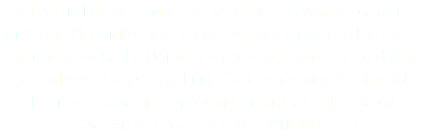 A beautiful desert landscape that is tucked away in a canyon  with incredible sights and provides everything we need to make positive growth! The Mojave is a place where one can sit down on the desert floor, see nothing, and hear nothing. Yet through the silence something throbs and gleams with the energy  to awaken your inner soul. DIRECTIONS TBA!